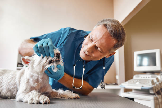 Best Pediatric Emergency Dentist in Taylor Lake Village, TX